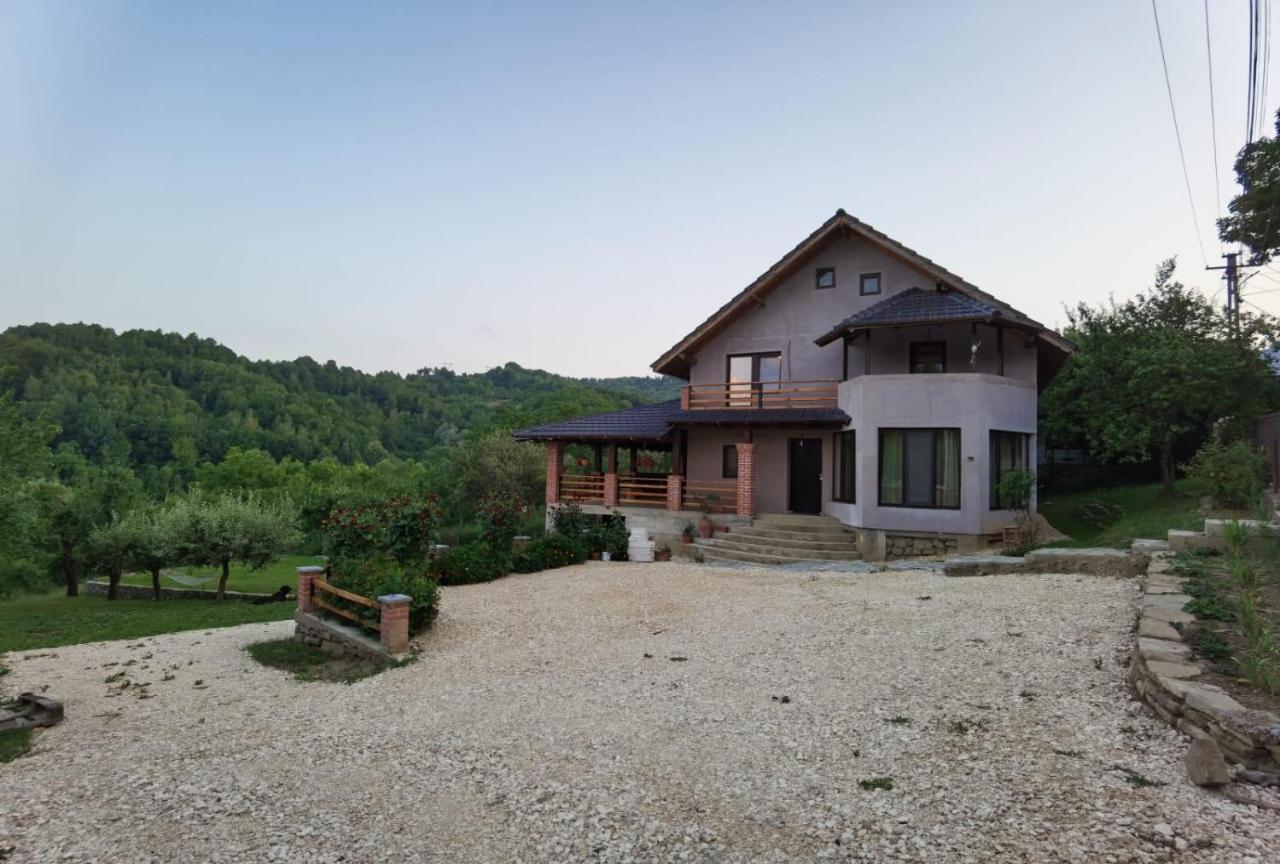 Vila Ella Villa Capatineni-Ungureni Luaran gambar